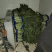 莴笋紫叶香莴笋精品莴笋万亩基地产地直发全国供货
