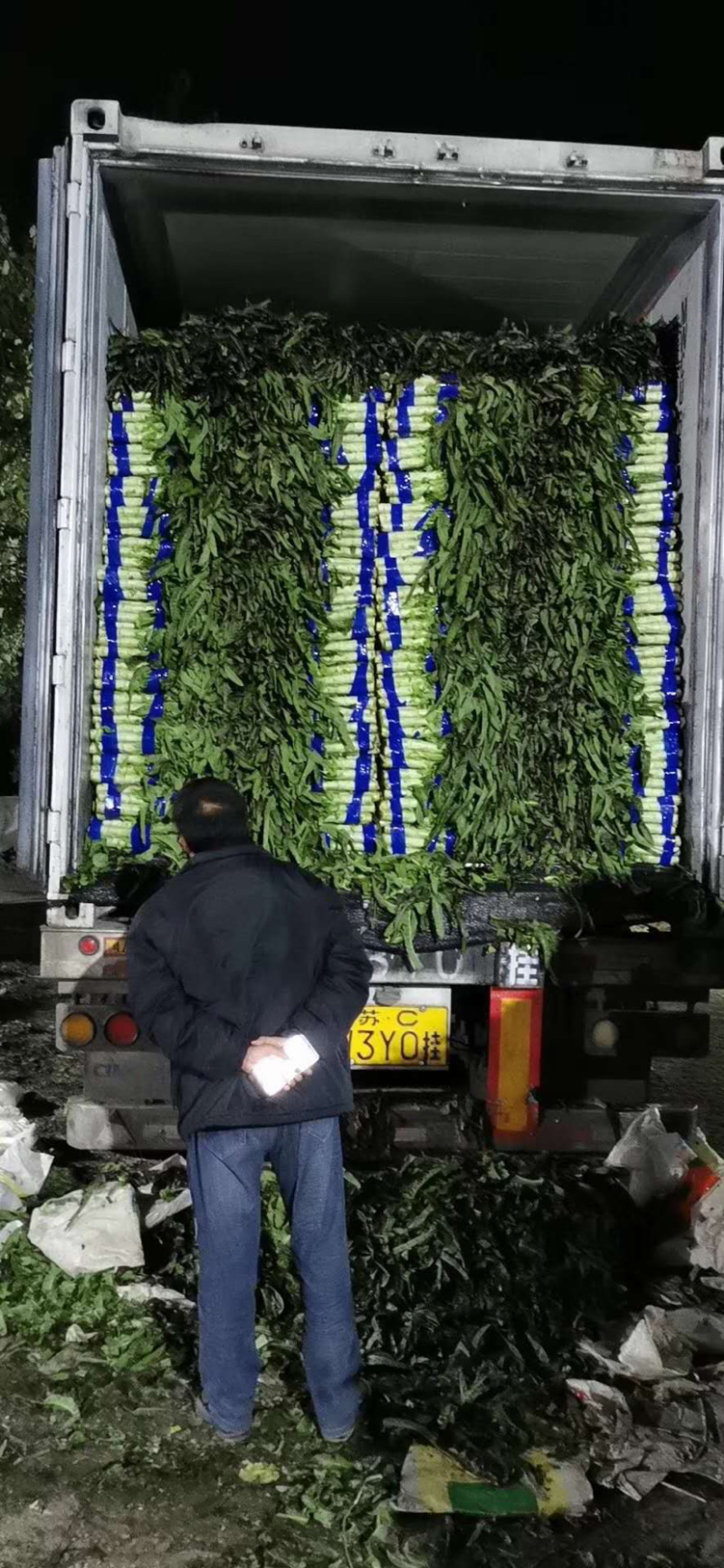 莴笋紫叶香莴笋精品莴笋万亩基地产地直发全国供货