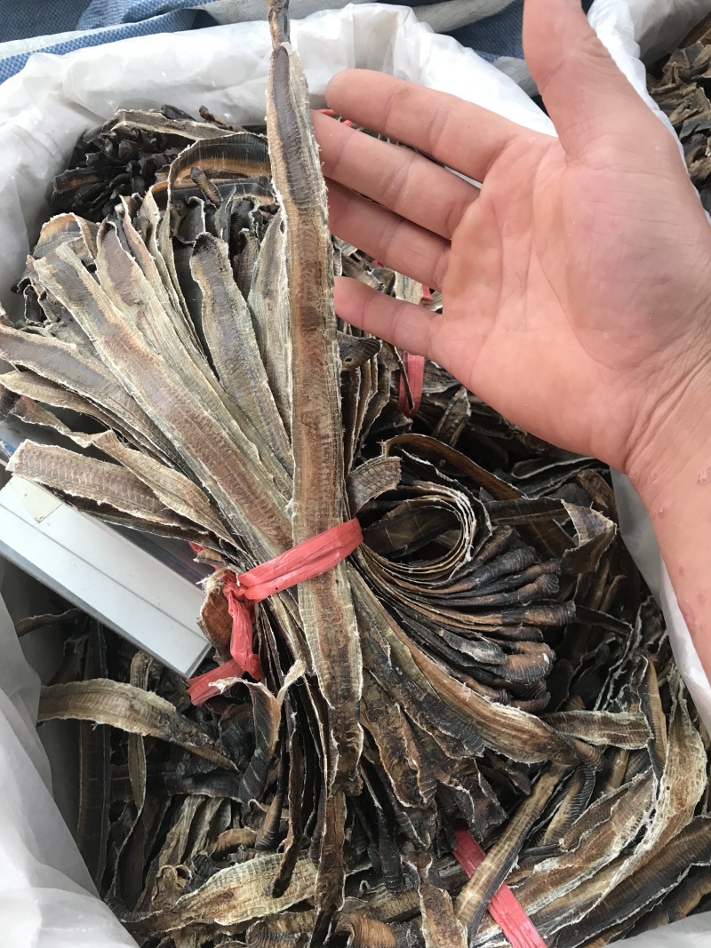地龙无硫半开全开地龙干净无渣可打粉