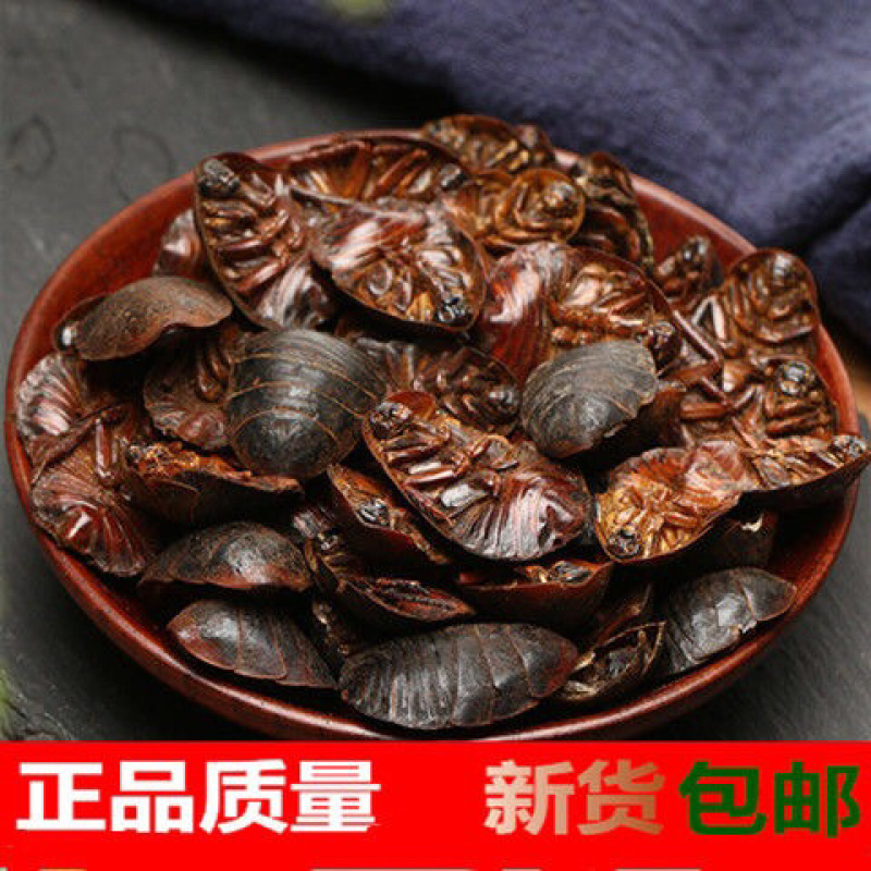 土元无硫土鳖虫干净无杂质产地直销