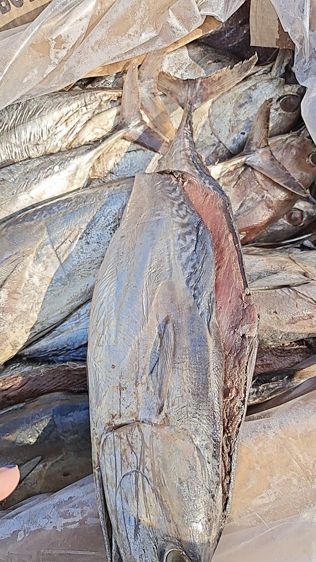 老咸鱼，腌制时间比较久！个头大，满满的都是肉，35斤净重