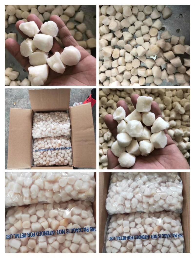 【产地直供】鲜货速冻新鲜扇贝柱冷冻瑶柱海鲜水产贝类