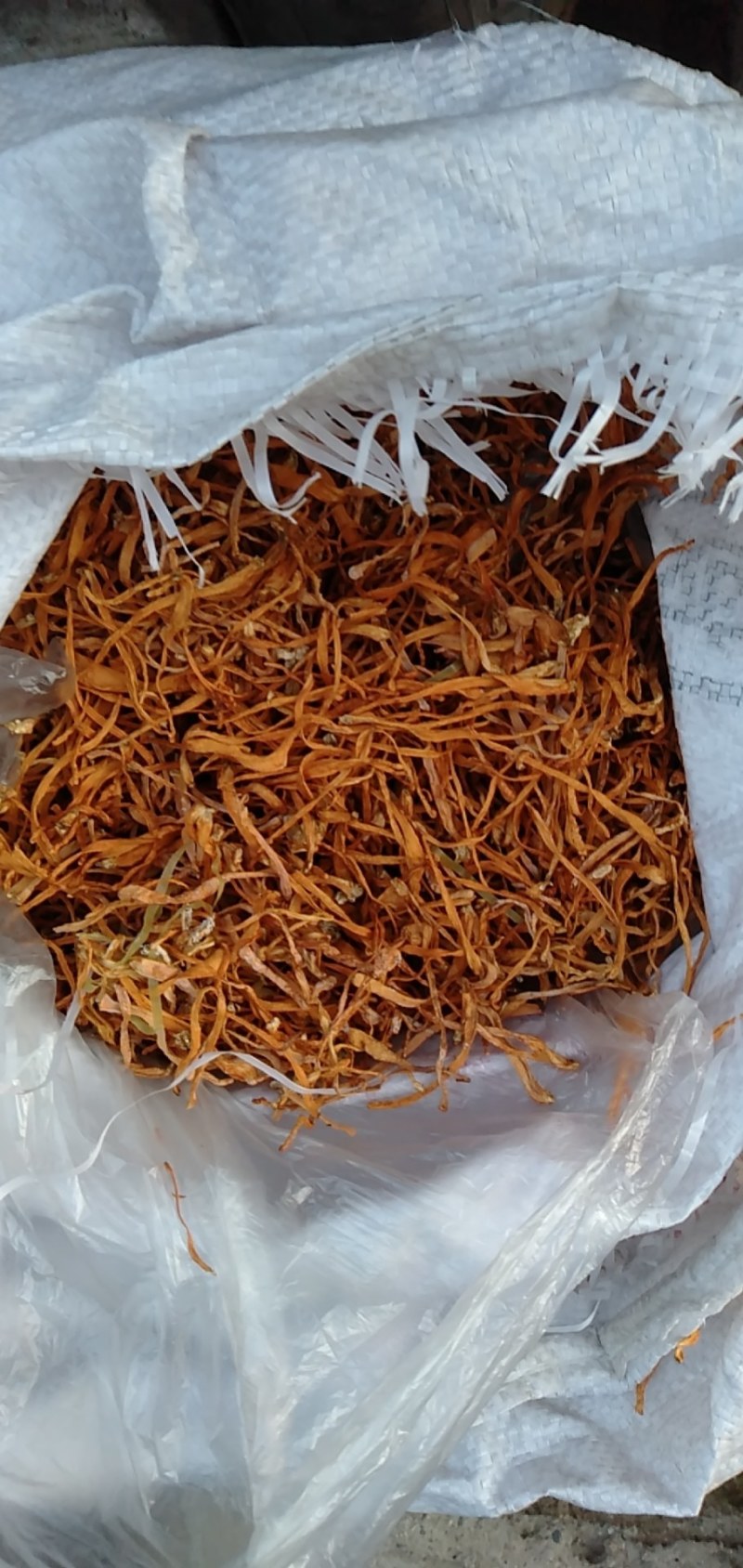 出售干鲜虫草花，有一斤装，三斤装，散装，箱排等包装