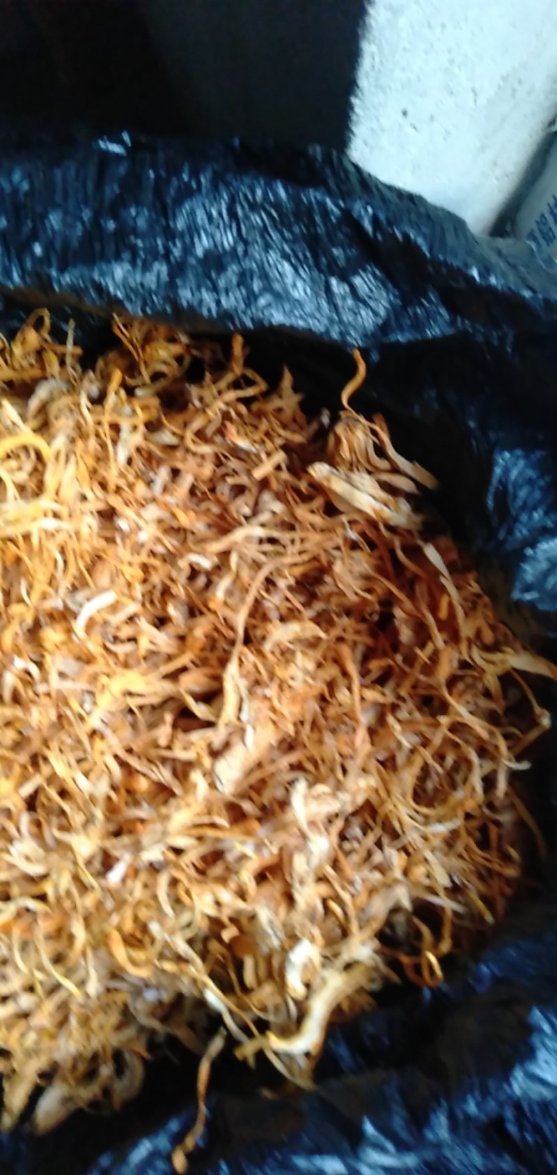 出售干鲜虫草花，有一斤装，三斤装，散装，箱排等包装
