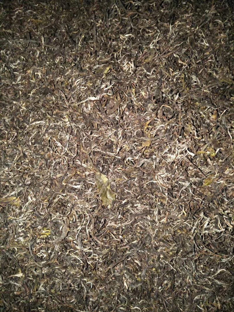 云南西双版纳普洱茶，有台地茶/小树茶/大树茶和古树茶