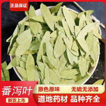 番泻叶一手货源产地直销干净***