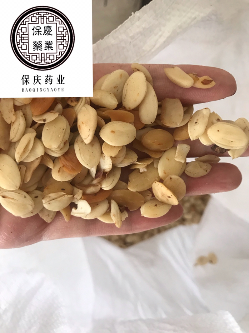 炒桃仁去皮炒桃仁桃仁保庆药业批发炒桃仁实拍