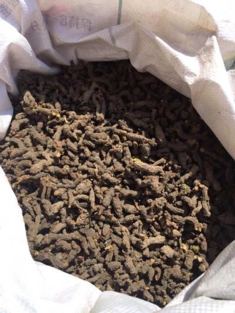 野生中药材干天葵子出售