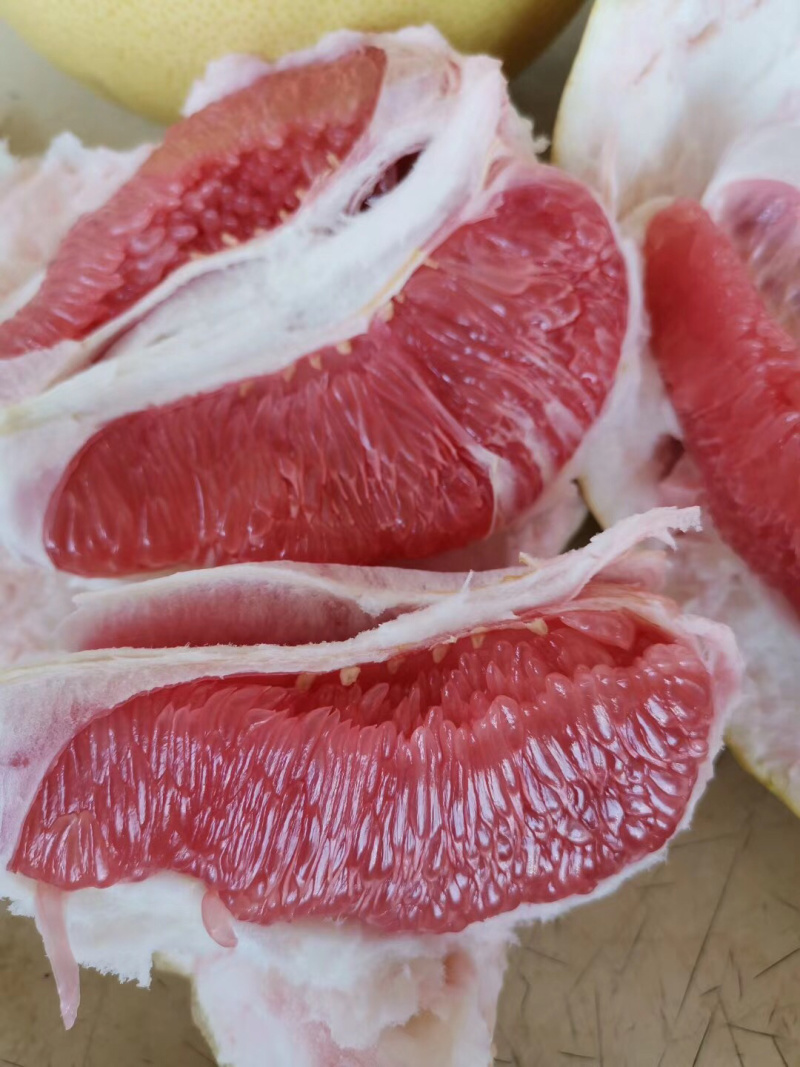 大量三红蜜柚现货供应中……