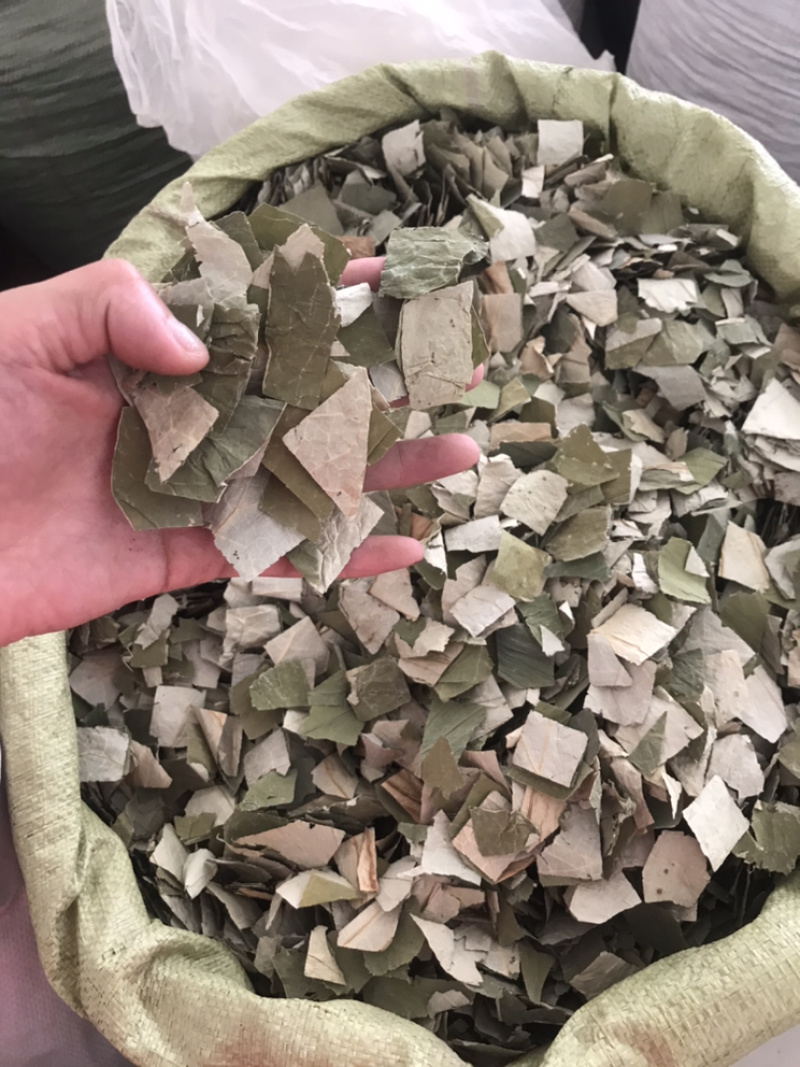 荷叶荷叶块保庆农产品批发荷叶块实物拍摄发货如图