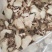 云南大山野生滇黄精，甜黄精
