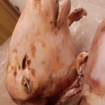羊头，火烧羊头。草地放养的羊头大量走货