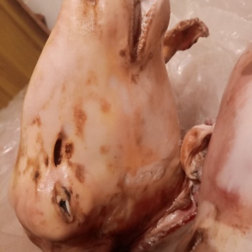 羊头，火烧羊头。草地放养的羊头大量走货，草地羯羊，，火燎
