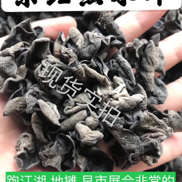 木耳特级东北黑木耳东北特产泡发率高营养丰富