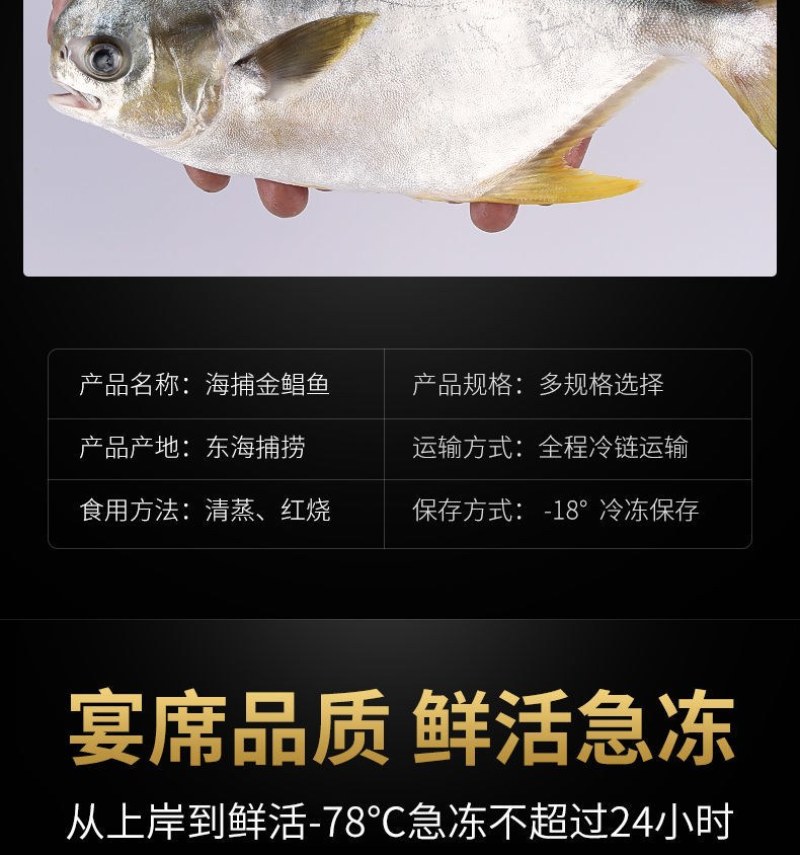 海捕速冻金鲳鱼5斤新鲜冷冻金鲳鱼海鲜水产多省包邮坏单包赔