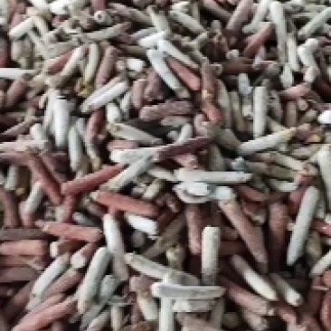 玉米芯玉米芯