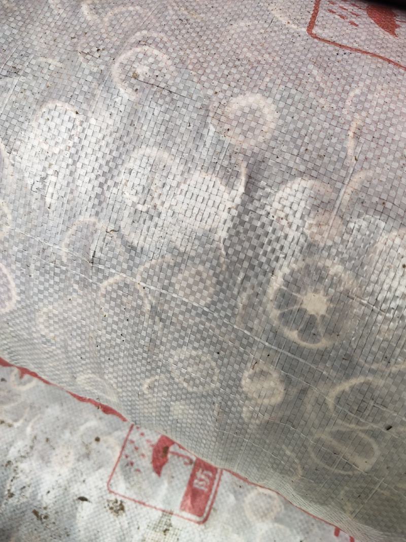 青皮，选用小个头上等好货