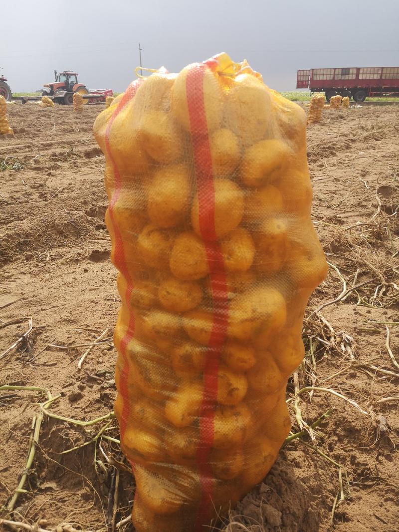 【精品】榆林市精品中货土豆v7直供电商精品，可做种子