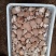 西峡县科达菌种厂生产有香菇菌种，9608/908，5号，