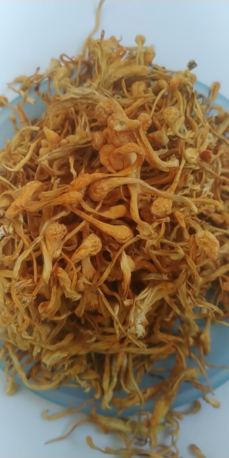 地道内蒙无硫虫草花，常年现货供应，手工精造，质好价优。