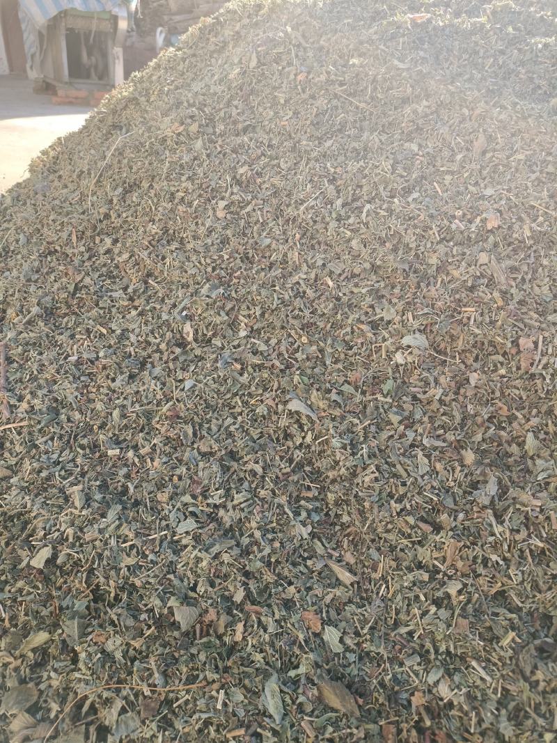 仙鹤草，色绿足干的当年新货