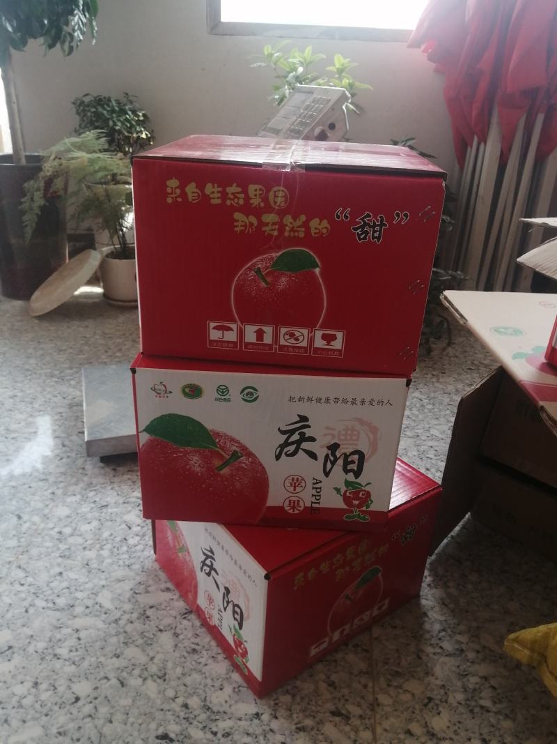 甘肃庆阳水晶红富士苹果预售，一件也批发（产地直销）