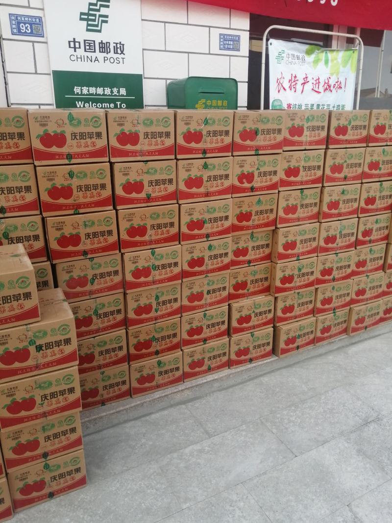 甘肃庆阳水晶红富士苹果预售，一件也批发（产地直销）