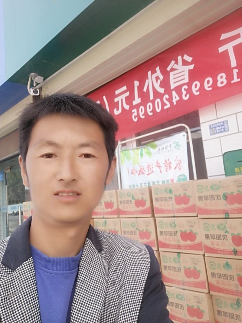 甘肃庆阳水晶红富士苹果预售，一件也批发（产地直销）