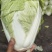 夏阳白菜净菜2~3斤，超市，电商都可用。