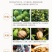 2020年新货,新疆薄皮核桃好核桃多规格干果坚果孕妇包邮