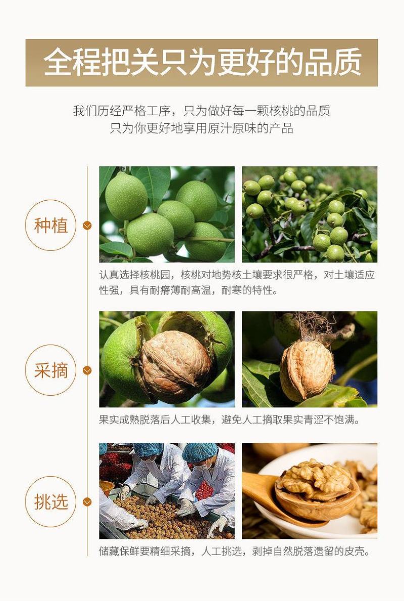 2020年新货,新疆薄皮核桃好核桃多规格干果坚果孕妇包邮