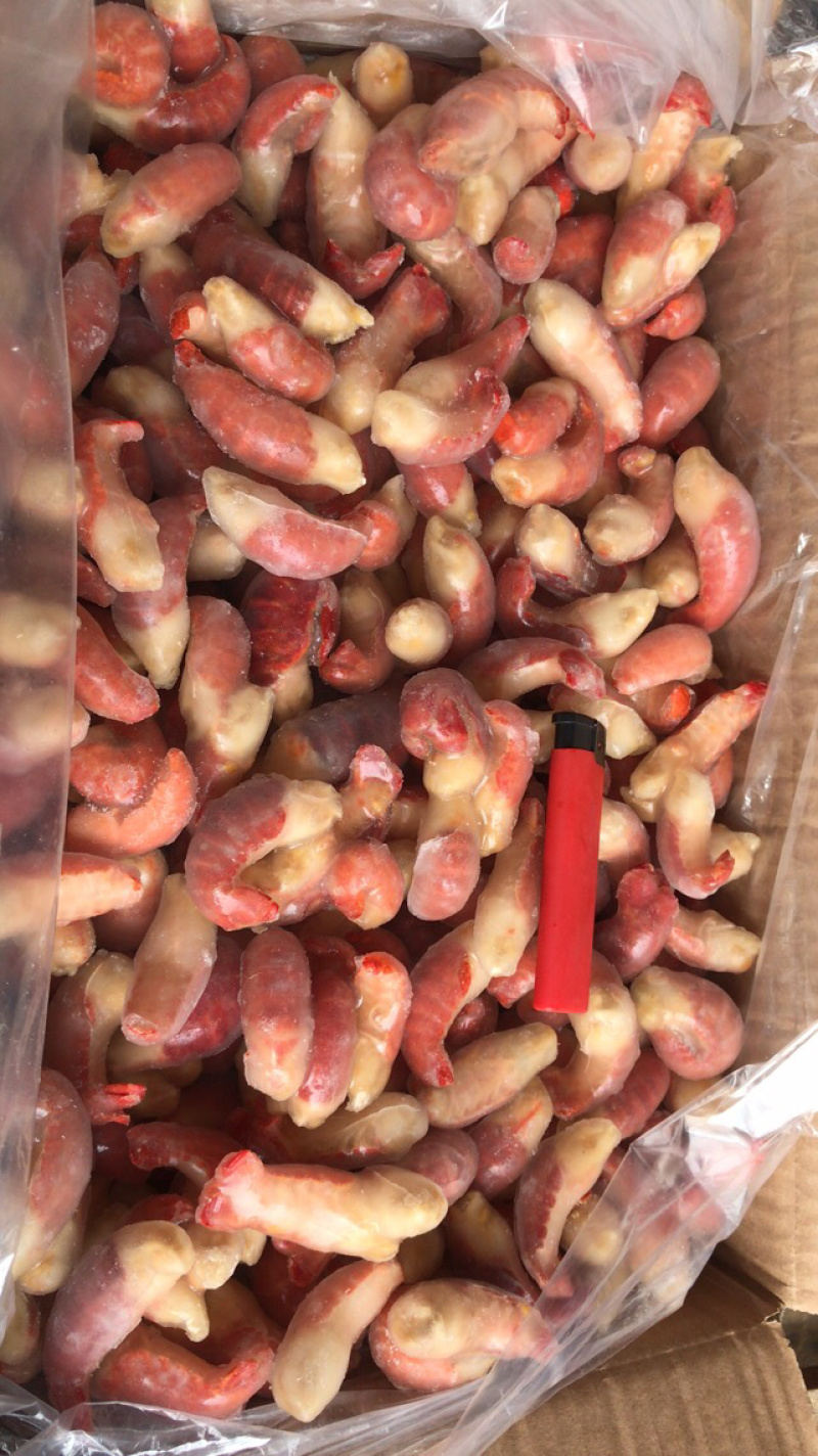 【热卖】龙虾尾厂家直销奔跑吧精品特级个头大肉质好价格低