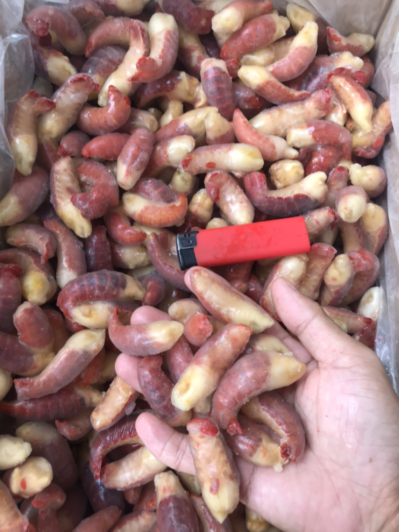【热卖】龙虾尾厂家直销奔跑吧精品特级个头大肉质好价格低