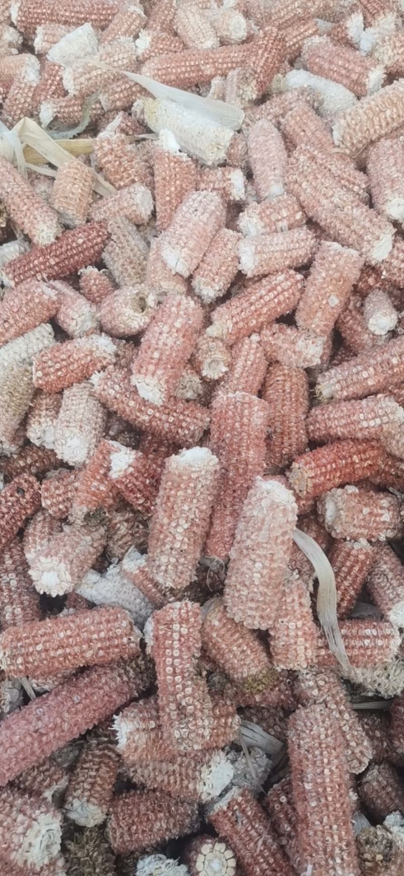 有大量玉米芯，对外出售，质量好，需要的朋友和我联系