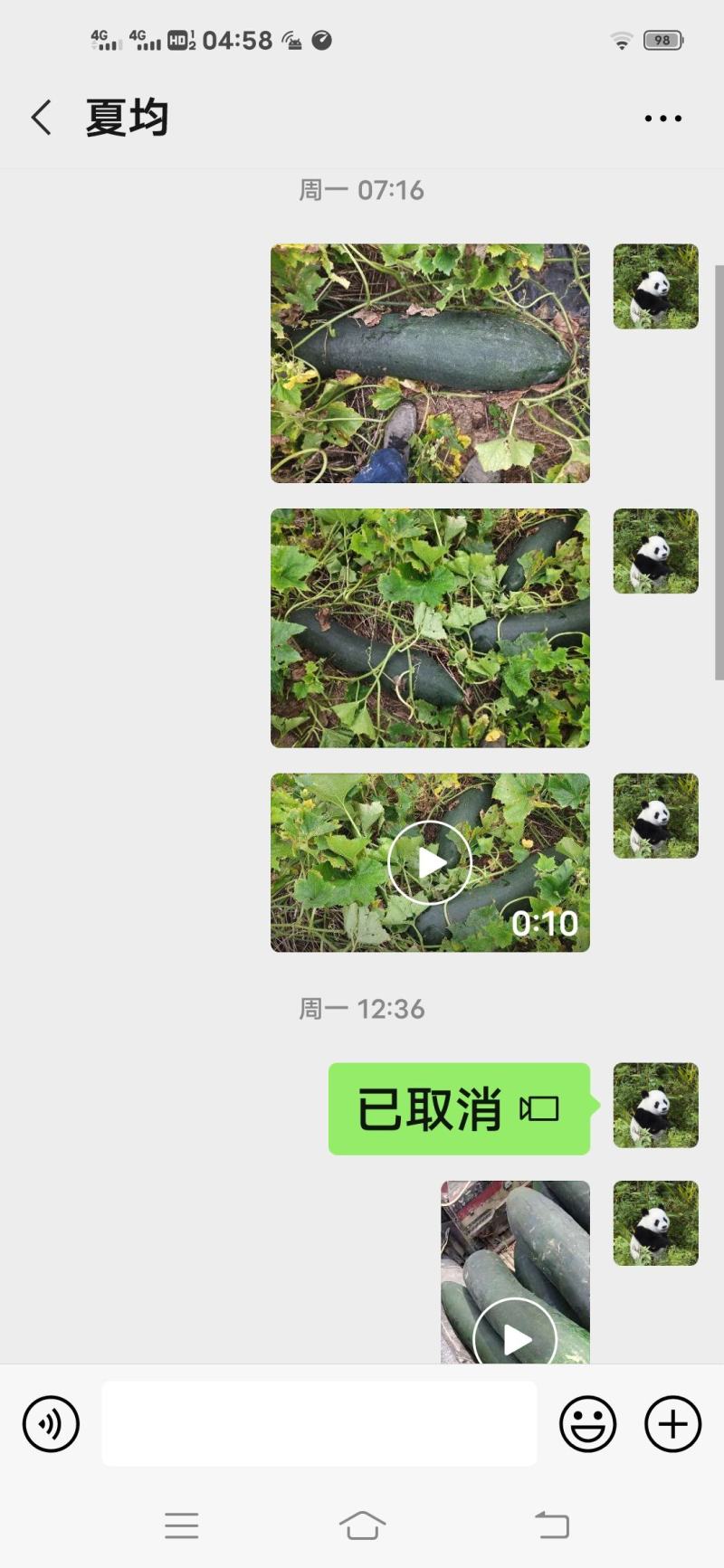 炮弹型黑皮冬瓜，欢迎新老客户订购。