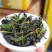 鸭屎香单丛茶生茶抽湿单丛鸭屎香绿单枞抽湿鸭屎香青茶1斤