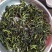 鸭屎香单丛茶生茶抽湿单丛鸭屎香绿单枞抽湿鸭屎香青茶1斤