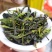 鸭屎香单丛茶生茶抽湿单丛鸭屎香绿单枞抽湿鸭屎香青茶1斤