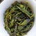 鸭屎香单丛茶生茶抽湿单丛鸭屎香绿单枞抽湿鸭屎香青茶1斤