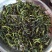 鸭屎香单丛茶生茶抽湿单丛鸭屎香绿单枞抽湿鸭屎香青茶1斤