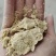 大量现货销售优质小米油糠，货源充足，加工精细，价格实惠