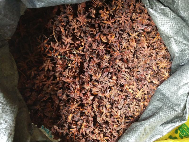 一手货源精选嫁接大红无硫水烫八角足干产地自产自销
