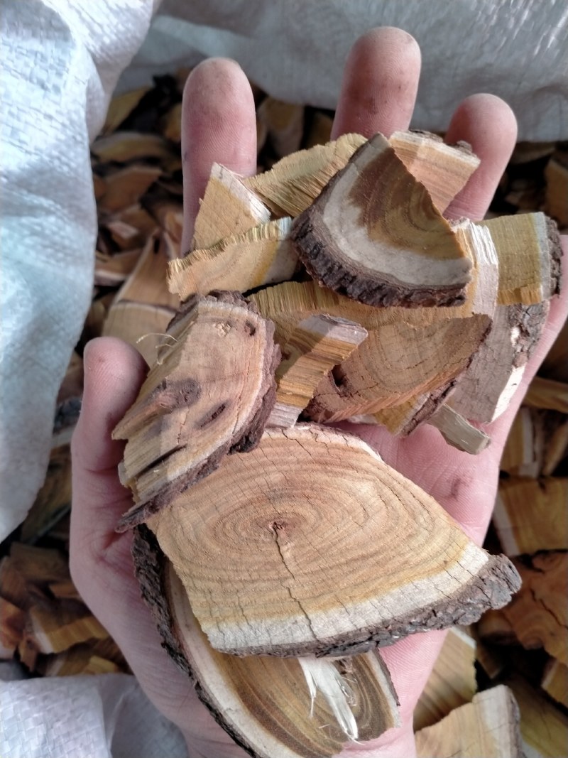 穿破石地锦根冷背药材纯根川破石