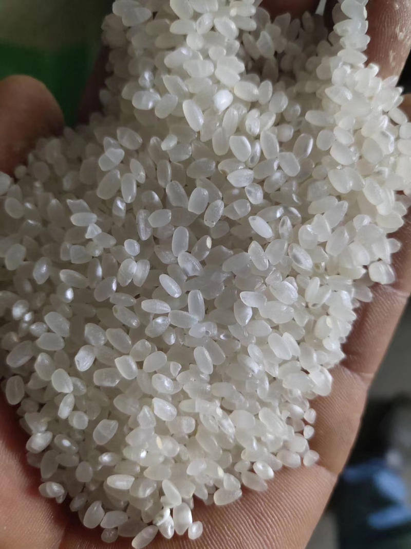 【精品】淮安大米，品种多品质好货源充足量大从优欢迎下单