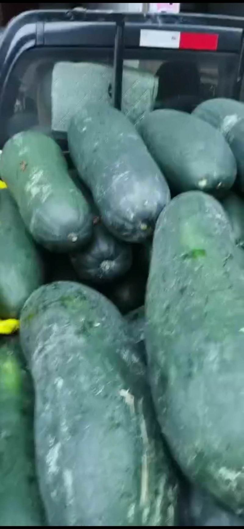 冬瓜，南瓜大量出售冬瓜