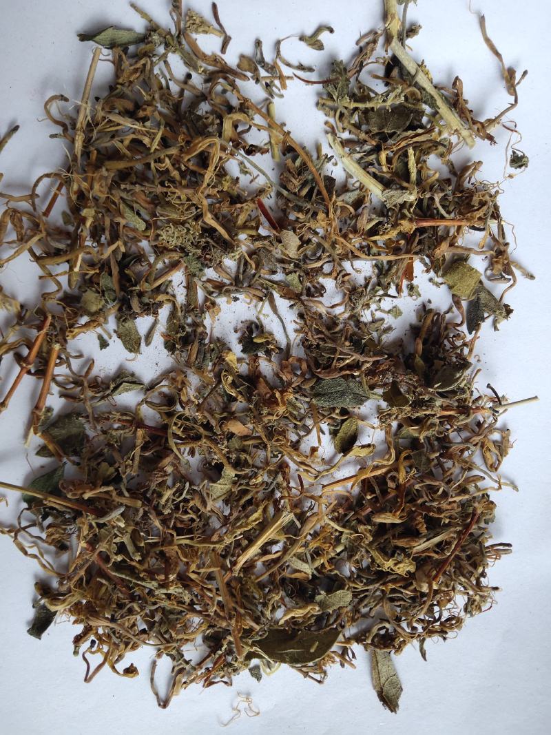 山银花开花碎统货批发诚信经营支持混批量大从优