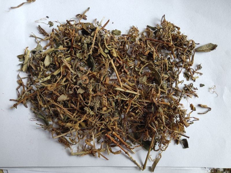 山银花开花碎统货批发诚信经营支持混批量大从优