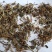 山银花开花碎统货批发诚信经营支持混批量大从优