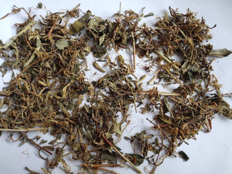山银花开花碎统货批发诚信经营支持混批量大从优
