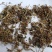 山银花开花碎统货批发诚信经营支持混批量大从优